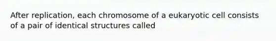 After replication, each chromosome of a eukaryotic cell consists of a pair of identical structures called