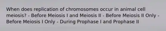 When does replication of chromosomes occur in animal cell meiosis? - Before Meiosis I and Meiosis II - Before Meiosis II Only - Before Meiosis I Only - During Prophase I and Prophase II