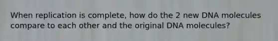 When replication is complete, how do the 2 new DNA molecules compare to each other and the original DNA molecules?