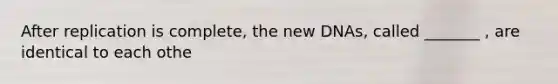 After replication is complete, the new DNAs, called _______ , are identical to each othe