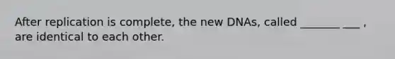 After replication is complete, the new DNAs, called _______ ___ , are identical to each other.