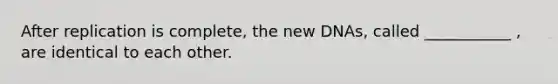 After replication is complete, the new DNAs, called ___________ , are identical to each other.