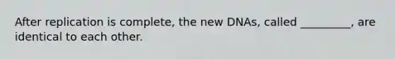 After replication is complete, the new DNAs, called _________, are identical to each other.