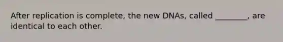 After replication is complete, the new DNAs, called ________, are identical to each other.