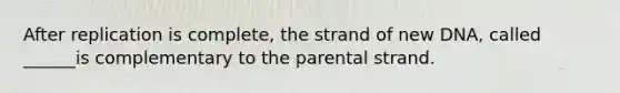 After replication is complete, the strand of new DNA, called ______is complementary to the parental strand.