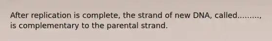 After replication is complete, the strand of new DNA, called........., is complementary to the parental strand.