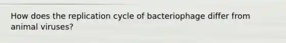 How does the replication cycle of bacteriophage differ from animal viruses?