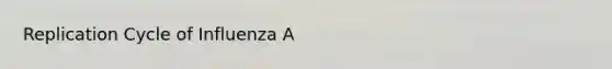 Replication Cycle of Influenza A