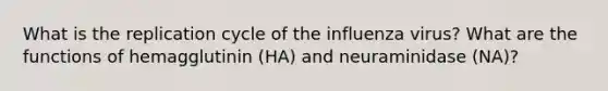 What is the replication cycle of the influenza virus? What are the functions of hemagglutinin (HA) and neuraminidase (NA)?