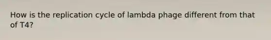 How is the replication cycle of lambda phage different from that of T4?