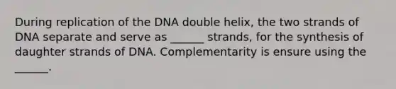 During replication of the DNA double helix, the two strands of DNA separate and serve as ______ strands, for the synthesis of daughter strands of DNA. Complementarity is ensure using the ______.