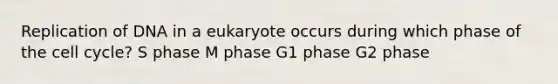 Replication of DNA in a eukaryote occurs during which phase of the cell cycle? S phase M phase G1 phase G2 phase