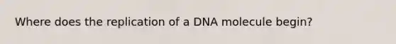 Where does the replication of a DNA molecule begin?