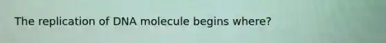 The replication of DNA molecule begins where?