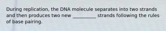 During replication, the DNA molecule separates into two strands and then produces two new __________ strands following the rules of base pairing.