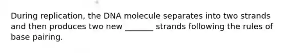 During replication, the DNA molecule separates into two strands and then produces two new _______ strands following the rules of base pairing.