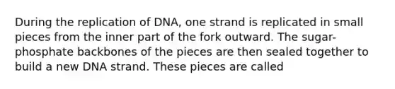 During the replication of DNA, one strand is replicated in small pieces from the inner part of the fork outward. The sugar-phosphate backbones of the pieces are then sealed together to build a new DNA strand. These pieces are called