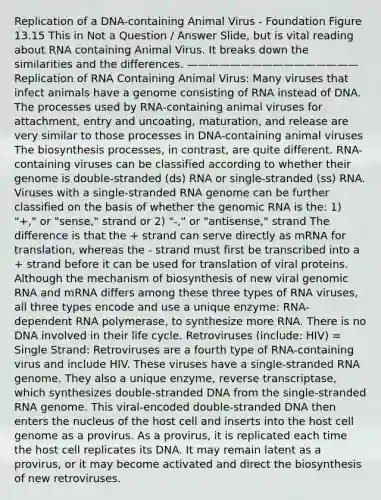 Replication of a DNA-containing Animal Virus - Foundation Figure 13.15 This in Not a Question / Answer Slide, but is vital reading about RNA containing Animal Virus. It breaks down the similarities and the differences. ———————————————— Replication of RNA Containing Animal Virus: Many viruses that infect animals have a genome consisting of RNA instead of DNA. The processes used by RNA-containing animal viruses for attachment, entry and uncoating, maturation, and release are very similar to those processes in DNA-containing animal viruses The biosynthesis processes, in contrast, are quite different. RNA-containing viruses can be classified according to whether their genome is double-stranded (ds) RNA or single-stranded (ss) RNA. Viruses with a single-stranded RNA genome can be further classified on the basis of whether the genomic RNA is the: 1) "+," or "sense," strand or 2) "-," or "antisense," strand The difference is that the + strand can serve directly as mRNA for translation, whereas the - strand must first be transcribed into a + strand before it can be used for translation of viral proteins. Although the mechanism of biosynthesis of new viral genomic RNA and mRNA differs among these three types of RNA viruses, all three types encode and use a unique enzyme: RNA-dependent RNA polymerase, to synthesize more RNA. There is no DNA involved in their life cycle. Retroviruses (include: HIV) = Single Strand: Retroviruses are a fourth type of RNA-containing virus and include HIV. These viruses have a single-stranded RNA genome. They also a unique enzyme, reverse transcriptase, which synthesizes double-stranded DNA from the single-stranded RNA genome. This viral-encoded double-stranded DNA then enters the nucleus of the host cell and inserts into the host cell genome as a provirus. As a provirus, it is replicated each time the host cell replicates its DNA. It may remain latent as a provirus, or it may become activated and direct the biosynthesis of new retroviruses.