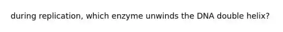 during replication, which enzyme unwinds the DNA double helix?