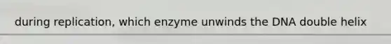 during replication, which enzyme unwinds the DNA double helix