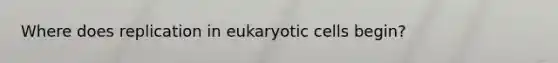 Where does replication in eukaryotic cells begin?