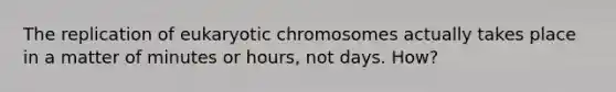 The replication of eukaryotic chromosomes actually takes place in a matter of minutes or hours, not days. How?