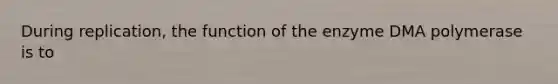 During replication, the function of the enzyme DMA polymerase is to