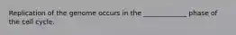 Replication of the genome occurs in the _____________ phase of the cell cycle.