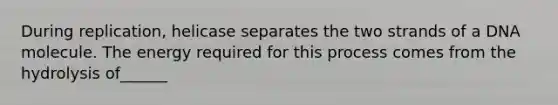 During replication, helicase separates the two strands of a DNA molecule. The energy required for this process comes from the hydrolysis of______