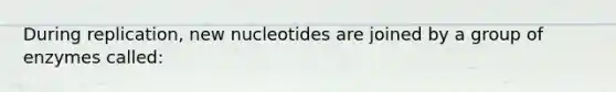 During replication, new nucleotides are joined by a group of enzymes called: