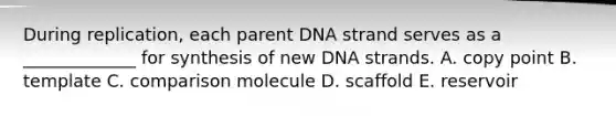 During replication, each parent DNA strand serves as a _____________ for synthesis of new DNA strands. A. copy point B. template C. comparison molecule D. scaffold E. reservoir