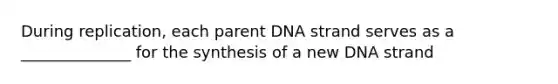 During replication, each parent DNA strand serves as a ______________ for the synthesis of a new DNA strand