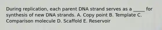 During replication, each parent DNA strand serves as a _____ for synthesis of new DNA strands. A. Copy point B. Template C. Comparison molecule D. Scaffold E. Reservoir