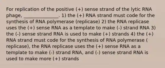 For replication of the positive (+) sense strand of the lytic RNA phage, _______________. 1) the (+) RNA strand must code for the synthesis of RNA polymerase (replicase) 2) the RNA replicase uses the (+) sense RNA as a template to make (-) strand RNA 3) the (-) sense strand RNA is used to make (+) strands 4) the (+) RNA strand must code for the synthesis of RNA polymerase ( replicase), the RNA replicase uses the (+) sense RNA as a template to make (-) strand RNA, and (-) sense strand RNA is used to make more (+) strands