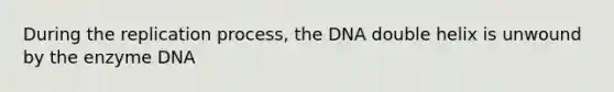 During the replication process, the DNA double helix is unwound by the enzyme DNA