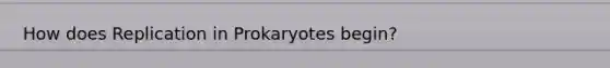 How does Replication in Prokaryotes begin?