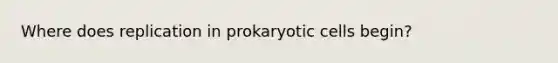 Where does replication in prokaryotic cells begin?