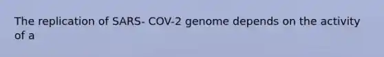 The replication of SARS- COV-2 genome depends on the activity of a