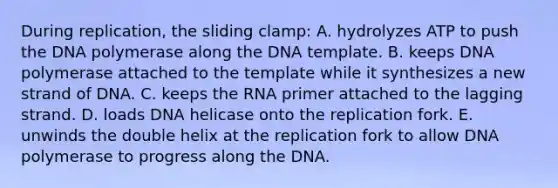 During replication, the sliding clamp: A. hydrolyzes ATP to push the DNA polymerase along the DNA template. B. keeps DNA polymerase attached to the template while it synthesizes a new strand of DNA. C. keeps the RNA primer attached to the lagging strand. D. loads DNA helicase onto the replication fork. E. unwinds the double helix at the replication fork to allow DNA polymerase to progress along the DNA.