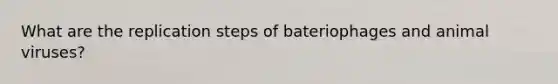 What are the replication steps of bateriophages and animal viruses?