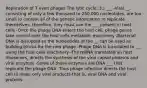 Replication of T even phages The lytic cycle: 3.) ___ -Viral __, consisting of only a few thousand to 250,000 nucleotides, are too small to contain all of the genetic information to replicate themselves, therefore, they must use the ___ present in host cells -Once the phage DNA enters the host cell, phage genes take control over the host cells metabolic machinery -Bacterial DNA is disrupted so the nucleotides of the __ can be used as building blocks for the new phage -Phage DNA is translated to __, using the host cells machinery -The mRNA translated on host ribosomes, directs the synthesis of the viral capsid proteins and viral enzymes -Some of these enzymes are DNA ___ that replicate the phage DNA. Thus phage infection directs the host cell to make only viral products-that is, viral DNA and viral proteins