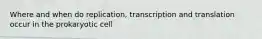 Where and when do replication, transcription and translation occur in the prokaryotic cell