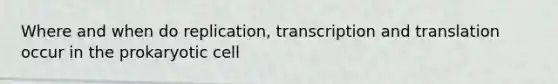 Where and when do replication, transcription and translation occur in the prokaryotic cell