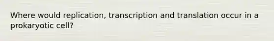 Where would replication, transcription and translation occur in a prokaryotic cell?