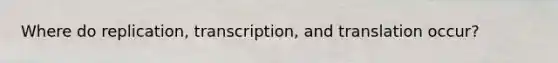 Where do replication, transcription, and translation occur?