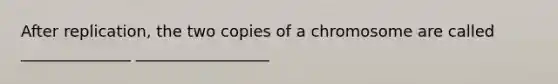 After replication, the two copies of a chromosome are called ______________ _________________