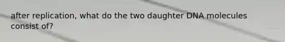 after replication, what do the two daughter DNA molecules consist of?