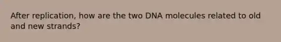 After replication, how are the two DNA molecules related to old and new strands?