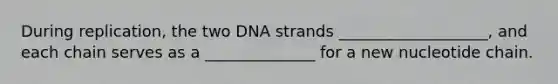 During replication, the two DNA strands ___________________, and each chain serves as a ______________ for a new nucleotide chain.