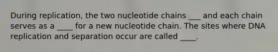 During replication, the two nucleotide chains ___ and each chain serves as a ____ for a new nucleotide chain. The sites where DNA replication and separation occur are called ____.